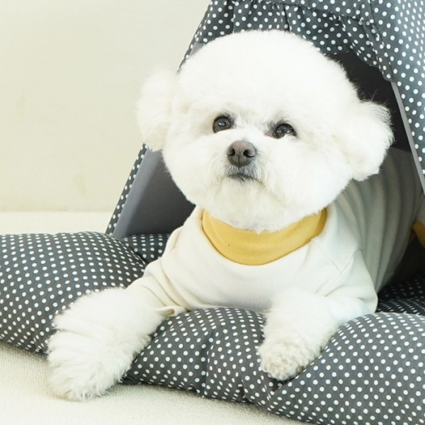 페오펫몰,레드퍼피 코제이 삼각 하우스 강아지하우스 애견하우스 강아지집 하우스 애견집 고양이하우스 텐트 애견텐트