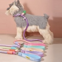 레드퍼피 그라데이션 리드줄 목줄 강아지산책 리드줄 강아지리드줄 강아지목줄 애견리드줄 애견목줄