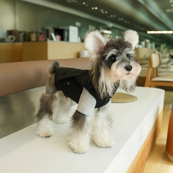 페오펫몰,레드퍼피 밍키패딩조끼 점퍼 패션용품 패션 옷 점퍼 티 따뜻한 야간 여름 비옷