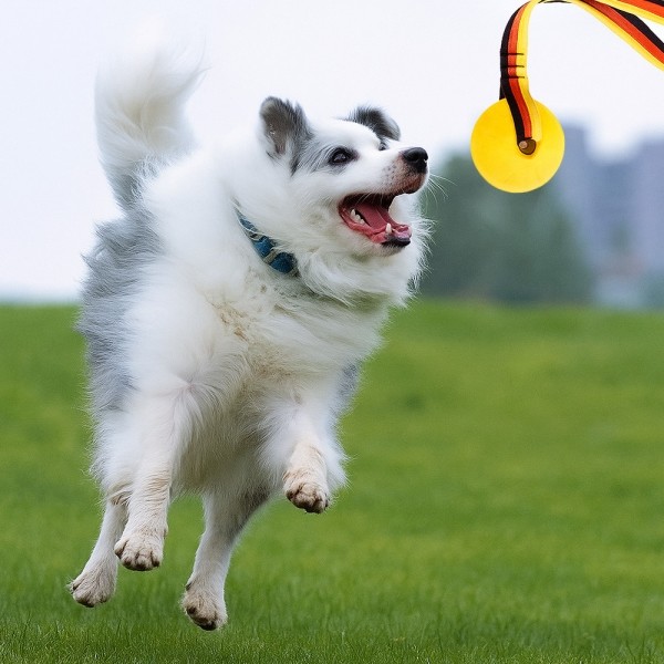 페오펫몰,레드퍼피 트롤볼장난감 노즈워크 삑삑이 애견훈련 공