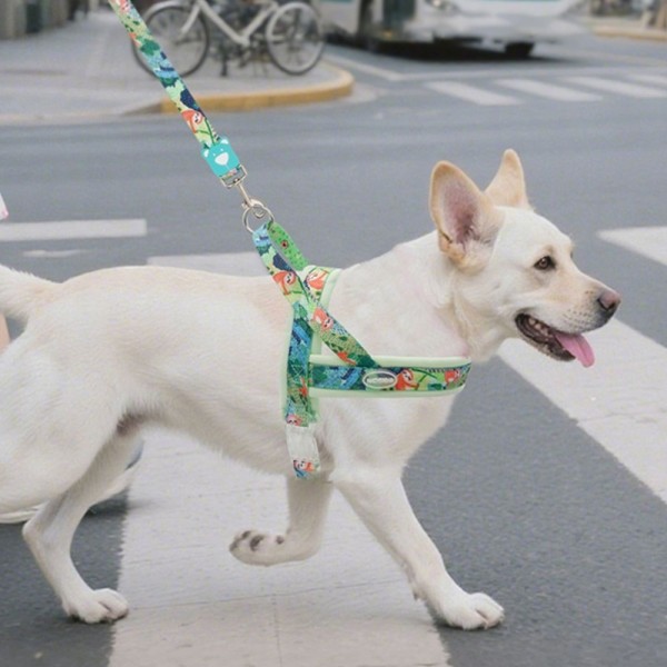 페오펫몰,레드퍼피 시크릿 하네스리드줄세트 목줄 강아지산책 리드줄 강아지리드줄 강아지목줄 애견리드줄 애견목줄