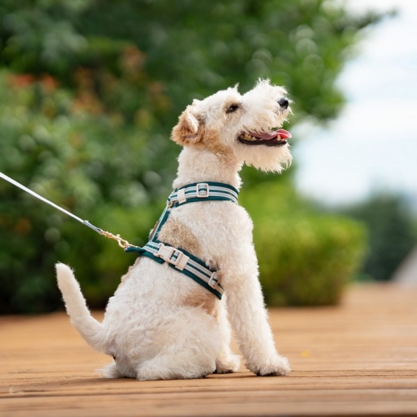 페오펫몰,레드퍼피 벨트 하네스[S~XL] 목줄 강아지산책 리드줄 강아지리드줄 강아지목줄 애견리드줄 애견목줄