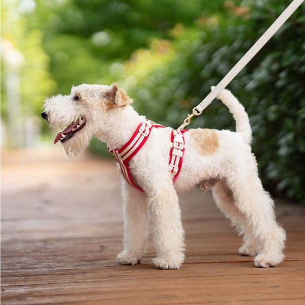 페오펫몰,레드퍼피 벨트 하네스[S~XL] 목줄 강아지산책 리드줄 강아지리드줄 강아지목줄 애견리드줄 애견목줄