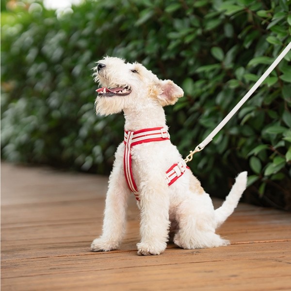 페오펫몰,레드퍼피 벨트 하네스[S~XL] 목줄 강아지산책 리드줄 강아지리드줄 강아지목줄 애견리드줄 애견목줄