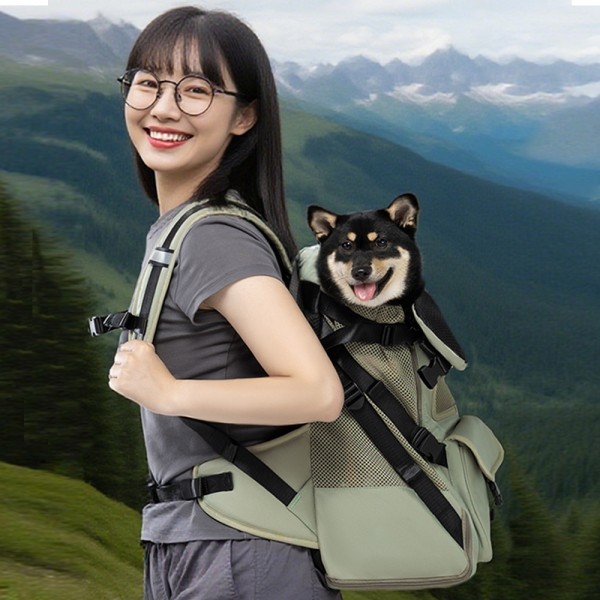 페오펫몰,레드퍼피 테스토 백팩 애견이동가방 고양이가방 강아지가방 이동장 가방