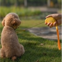 레드퍼피 망고 미니 리드줄 목줄 강아지산책 리드줄 강아지리드줄 강아지목줄 애견리드줄 애견목줄