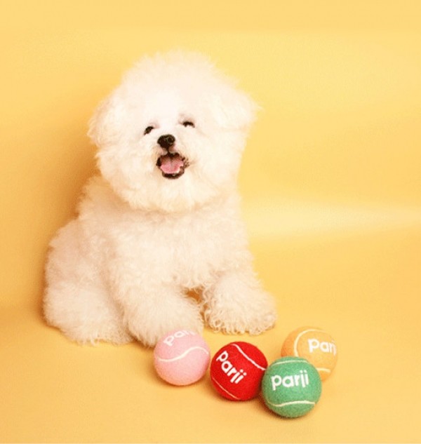 페오펫몰,레드퍼피 테니스공 장난감 노즈워크 삑삑이 애견훈련 공