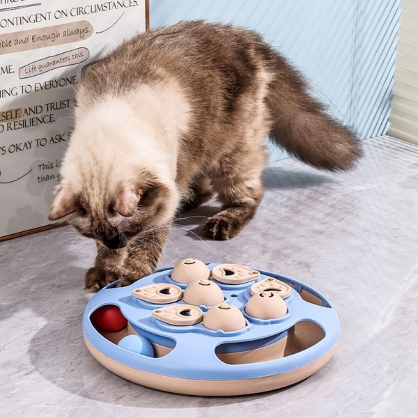 페오펫몰,레드퍼피 핑팡 노즈워크 장난감(색상랜덤)  간식볼 장난감 노즈워크 삑삑이 애견훈련 공