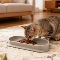 레드퍼피 루노 실리콘 식기 식기 애견식기 강아지식기 식기 밥통 밥그릇