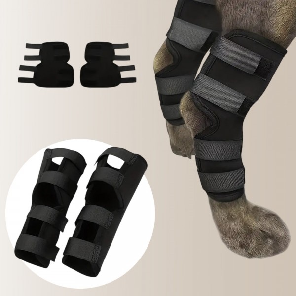 페오펫몰,레드퍼피 하이엔 펫 슬개골 보호대 신발 보호
