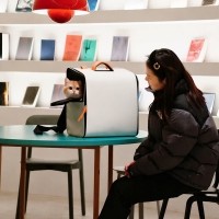 레드퍼피 뉴멀백팩이동가방 애견이동가방 고양이가방 강아지가방 이동장 가방