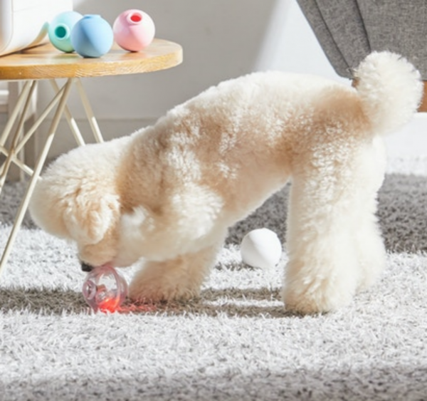 페오펫몰,[텐텐특가]로이코 강아지 고양이 자동 급식기 혼자있는 강아지 장난감 분리불안 훈련 노즈워크 공 자동 지급기 트릿토이 [최저가]
