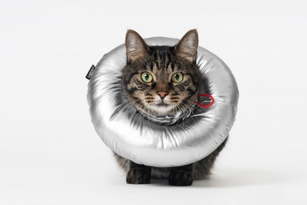 페오펫몰,피단 UFO 넥카라