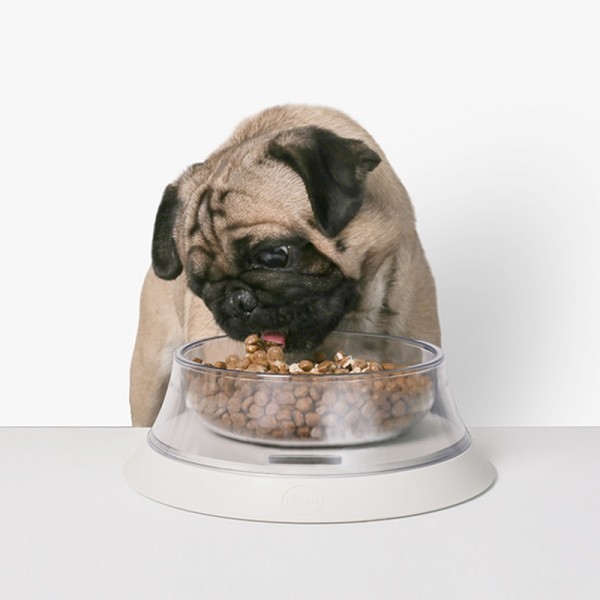 페오펫몰,피단스튜디오 반려동물 저울식기