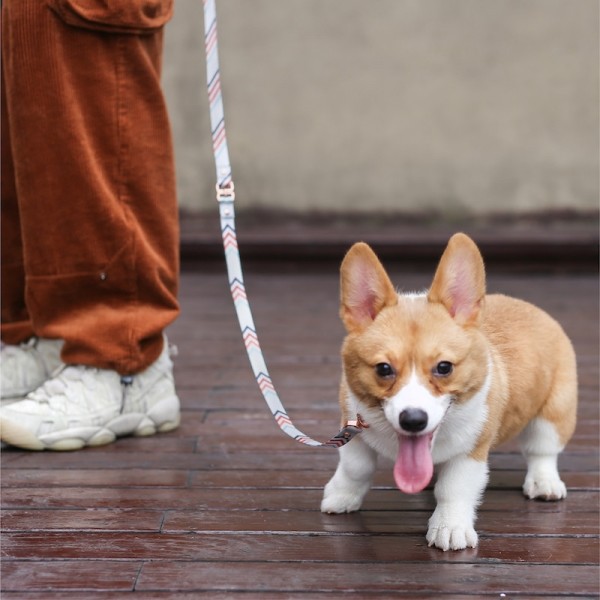 페오펫몰,피단 심플 리드줄