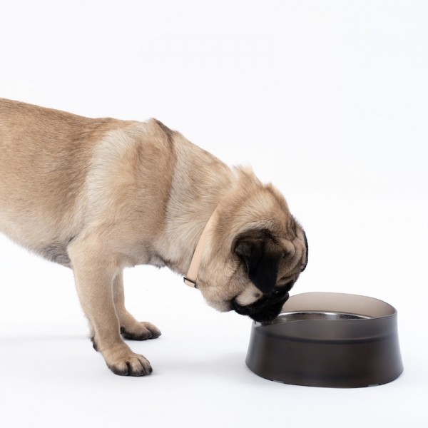 페오펫몰,피단스튜디오 강아지 밥그릇 볼케이노