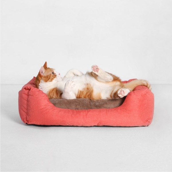 페오펫몰,피단 강아지 고양이 듀얼 펫 베드 침대