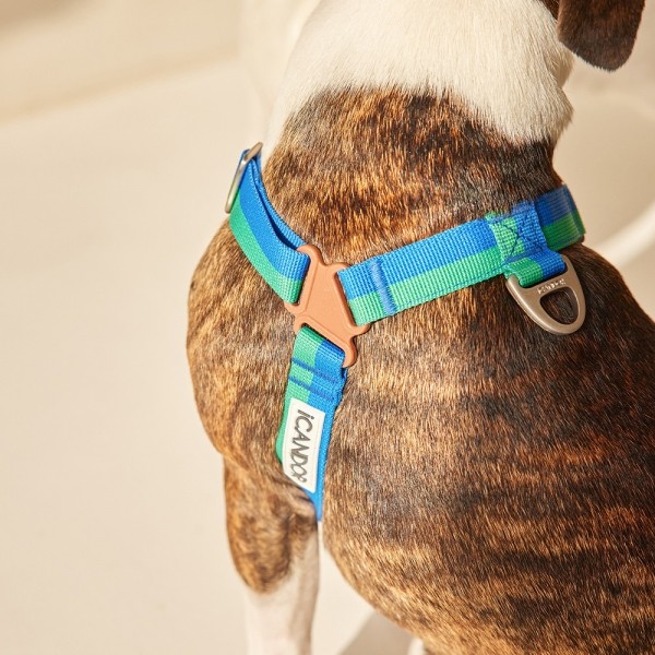 페오펫몰,[아이캔더] 노-풀 하네스_포레스트