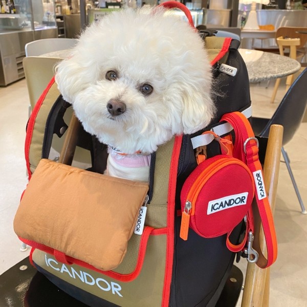 페오펫몰,[아이캔더] 울리 쿠션_브라운