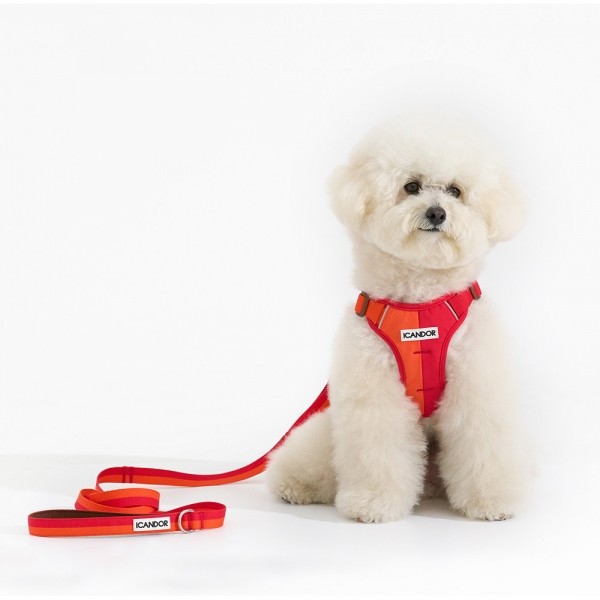 페오펫몰,[아이캔더] 스너글하네스_썬셋