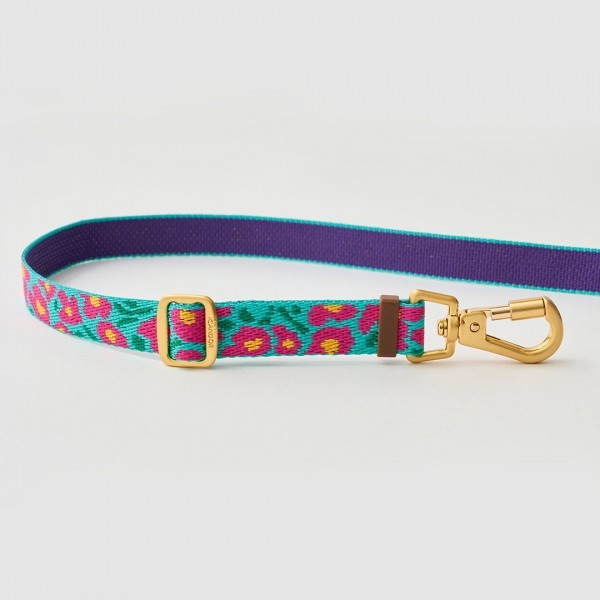 페오펫몰,[아이캔더] 젠틀 리쉬 볼트, 롱_빅피쉬 민트