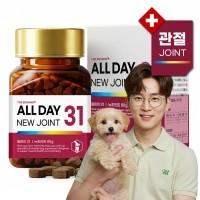 더보양 올데이31 뉴조인트 강아지 관절 영양제 노견 노령견 슬개골 근육 근력 연골 강화