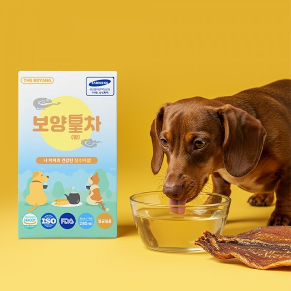 [여름맞이특가]더보양 강아지 고양이 보약 영양음료 보양황차 40ml x 21개