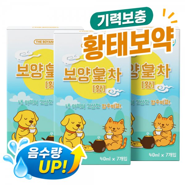 [댕캉스특가]더보양 강아지 고양이 보약 영양음료 보양황차 40ml x 21개
