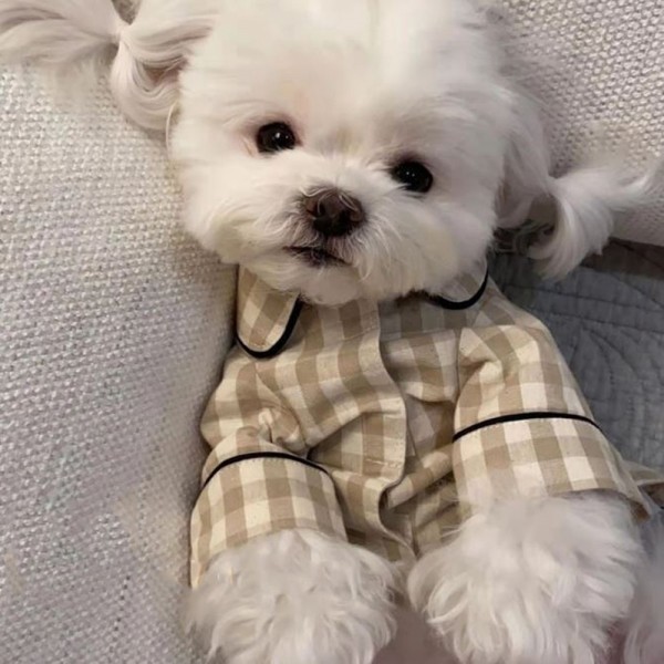 페오펫몰,귀염뽀짝 강아지 파자마 잠옷