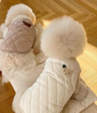 강아지 포그니 베어조끼