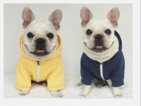 강아지 프리 후드 집업