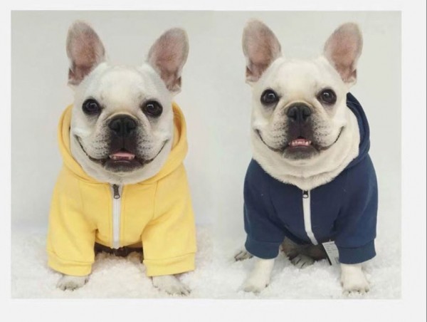페오펫몰,강아지 프리 후드 집업