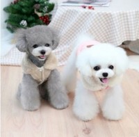 ﻿강아지 넥카라 퀼팅 점퍼