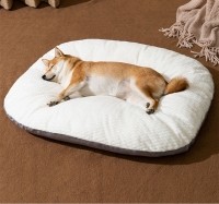 댕댕이 꿀잠 방석