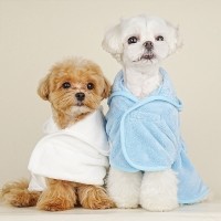 뽀송뽀송 강아지 목욕가운 타월