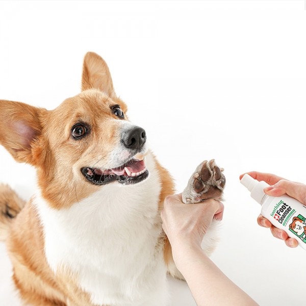 페오펫몰,[래핑찰리] 수딩풋클렌저 150ml [최저가]