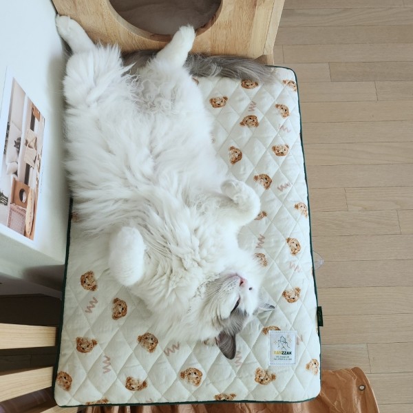 페오펫몰,반짝 쿨매트 인견커버+쿨젤 세트 테라조 M(45*45) [최저가]