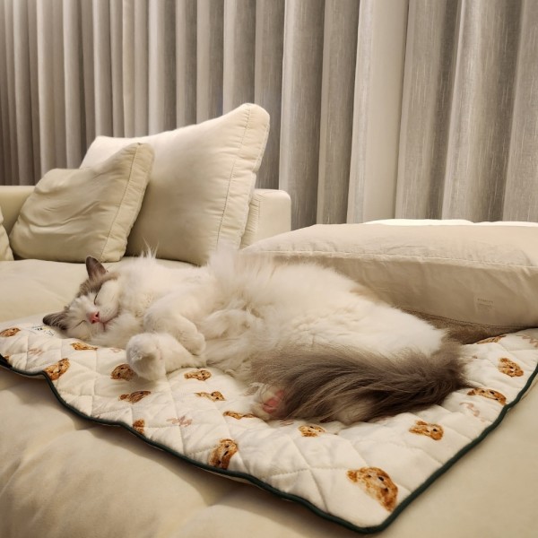 페오펫몰,반짝 쿨매트 인견커버+쿨젤 세트 테라조 M(45*45) [최저가]