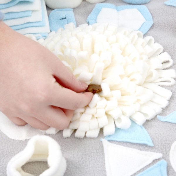 페오펫몰,[애구애구] 분리불안 노즈워크 스카이 [최저가]