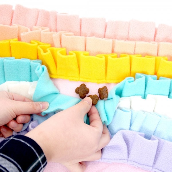 페오펫몰,[애구애구] 분리불안 노즈워크 무지개 [최저가]