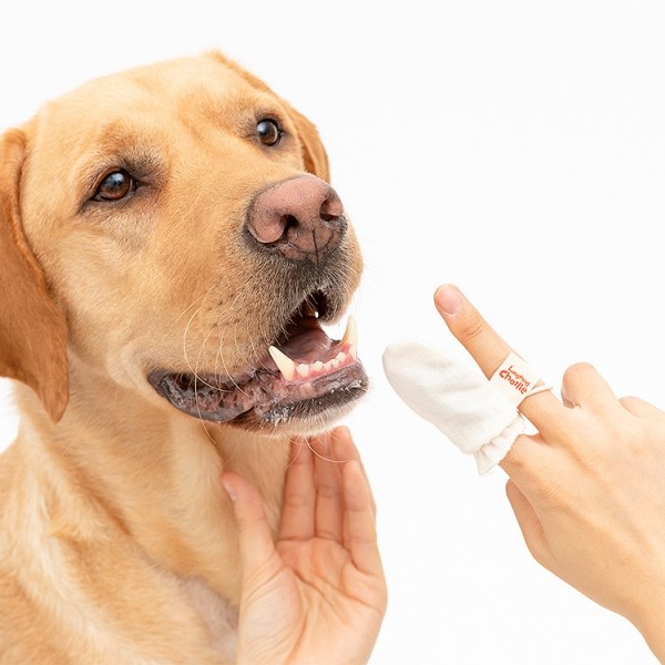 페오펫몰,래핑찰리 오가닉거즈 손가락칫솔 (6개입) STEP#1 [최저가]