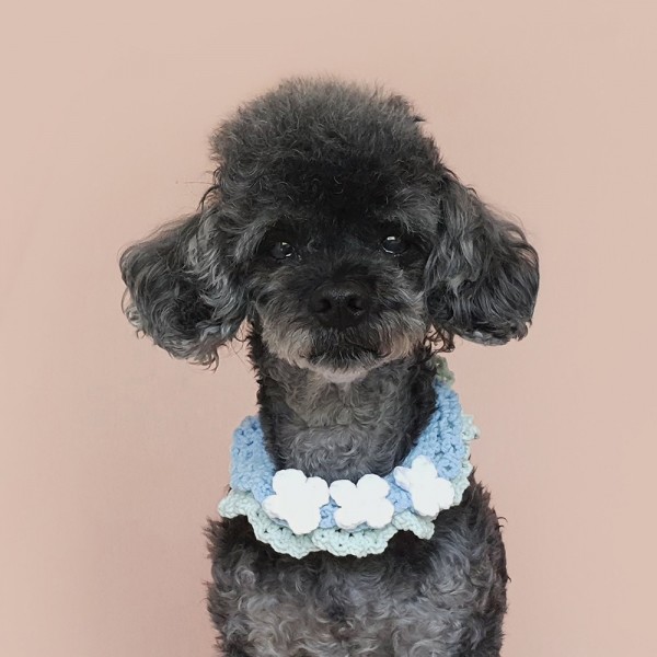 페오펫몰,어거스트제이 프린세스 케이프 - 자스민 강아지 고양이 뜨개 목걸이