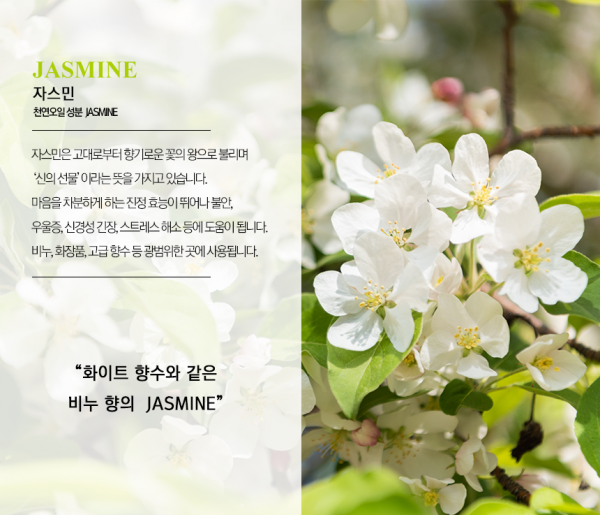 페오펫몰,미트유 쌀겨 아로마 반려동물 디퓨저 120ml