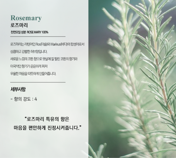 페오펫몰,미트유 쌀겨 아로마 반려동물 디퓨저 120ml