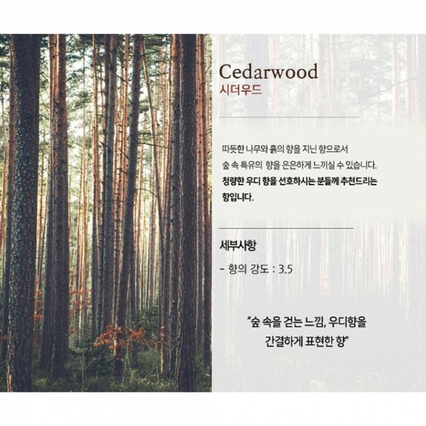 페오펫몰,미트유 대용량 반려동물 강아지 고양이 디퓨저 실내 리필 방향제 플라워 500ml