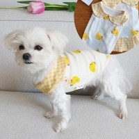 병아리티셔츠 강아지옷 실내복 강아지명품옷 애견옷