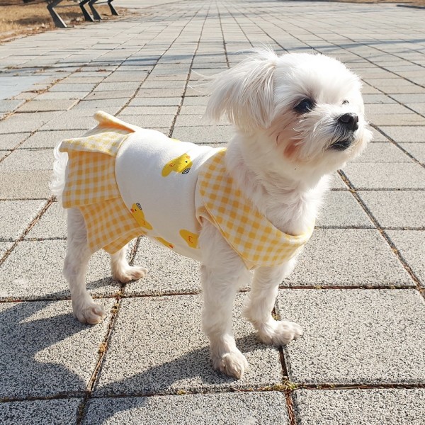 페오펫몰,병아리원피스 강아지옷 실내복 강아지명품옷 애견옷