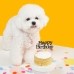 썸네일(스크롤)
