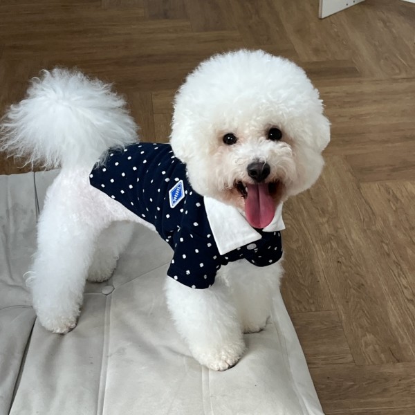 도트 PK카라티 (M-6XL)