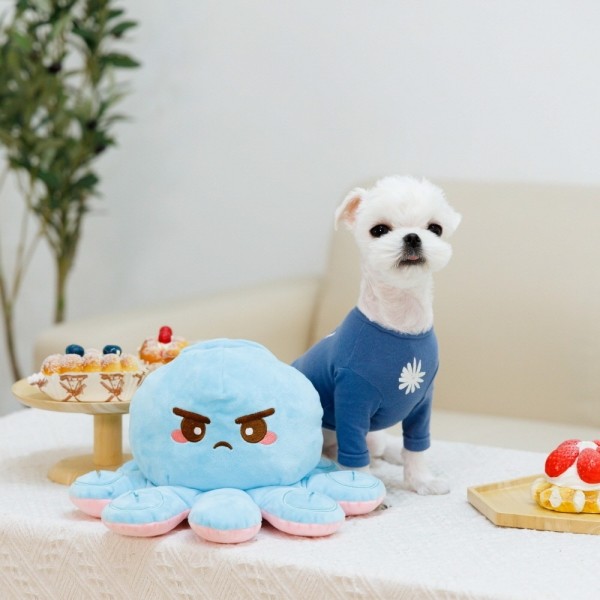 페오펫몰,강아지 노즈워크 장난감 문어노즈워크